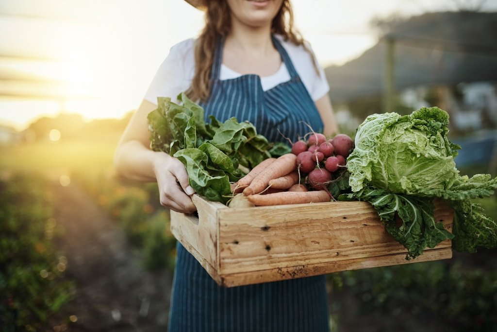 7 Estratégias para alcançar um estilo de vida saudável e sustentável